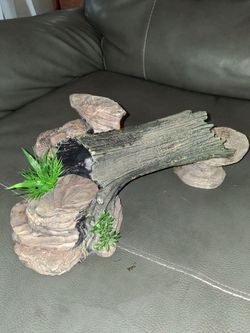 Reptile log and stones hides