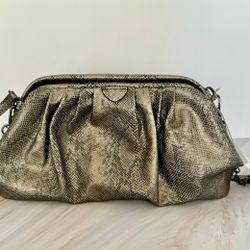 Silver Clutch/Crossbody