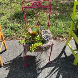 Succulent Chair 