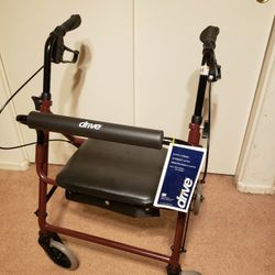 Adult Senior Walker