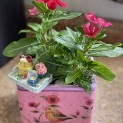 Flower Arrangement in Beautiful Ceramic Vase