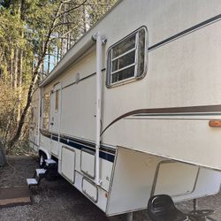 1998 Numar American Star