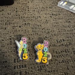 Disney 2025 Pin