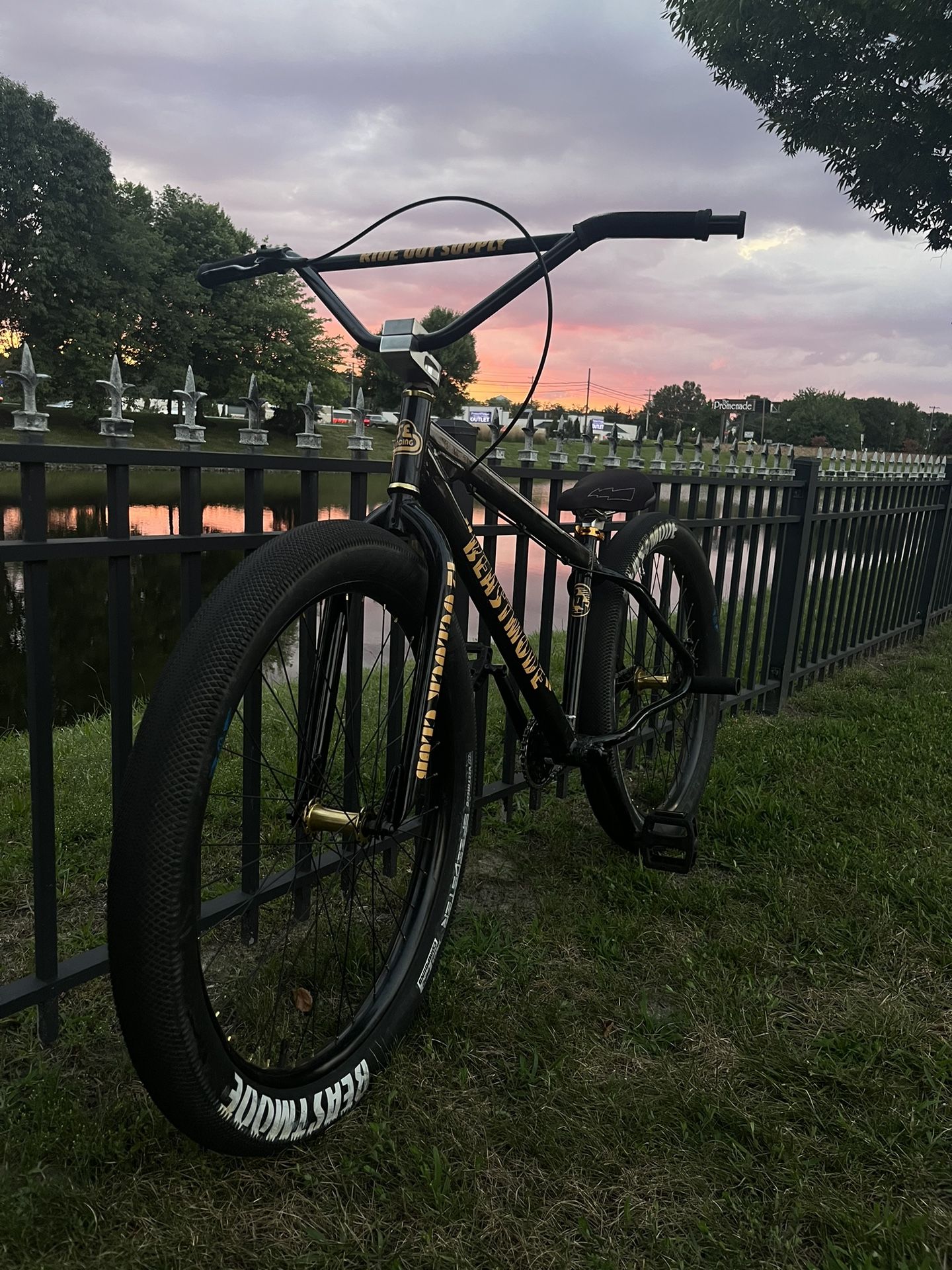 Custom 2021 SE Beastmode