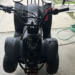 110cc TaoTao 2018