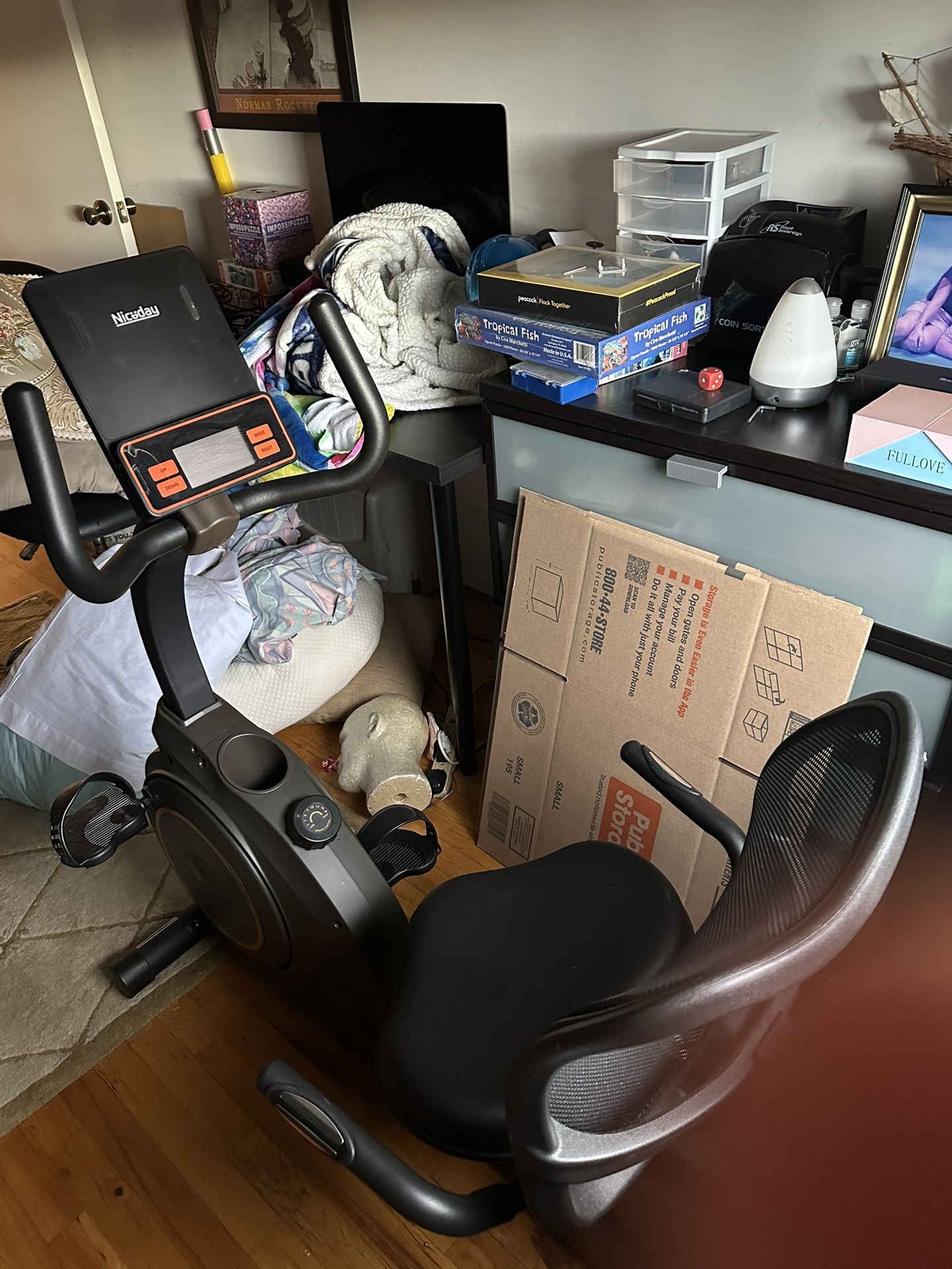 Niceday Recumbent Bike