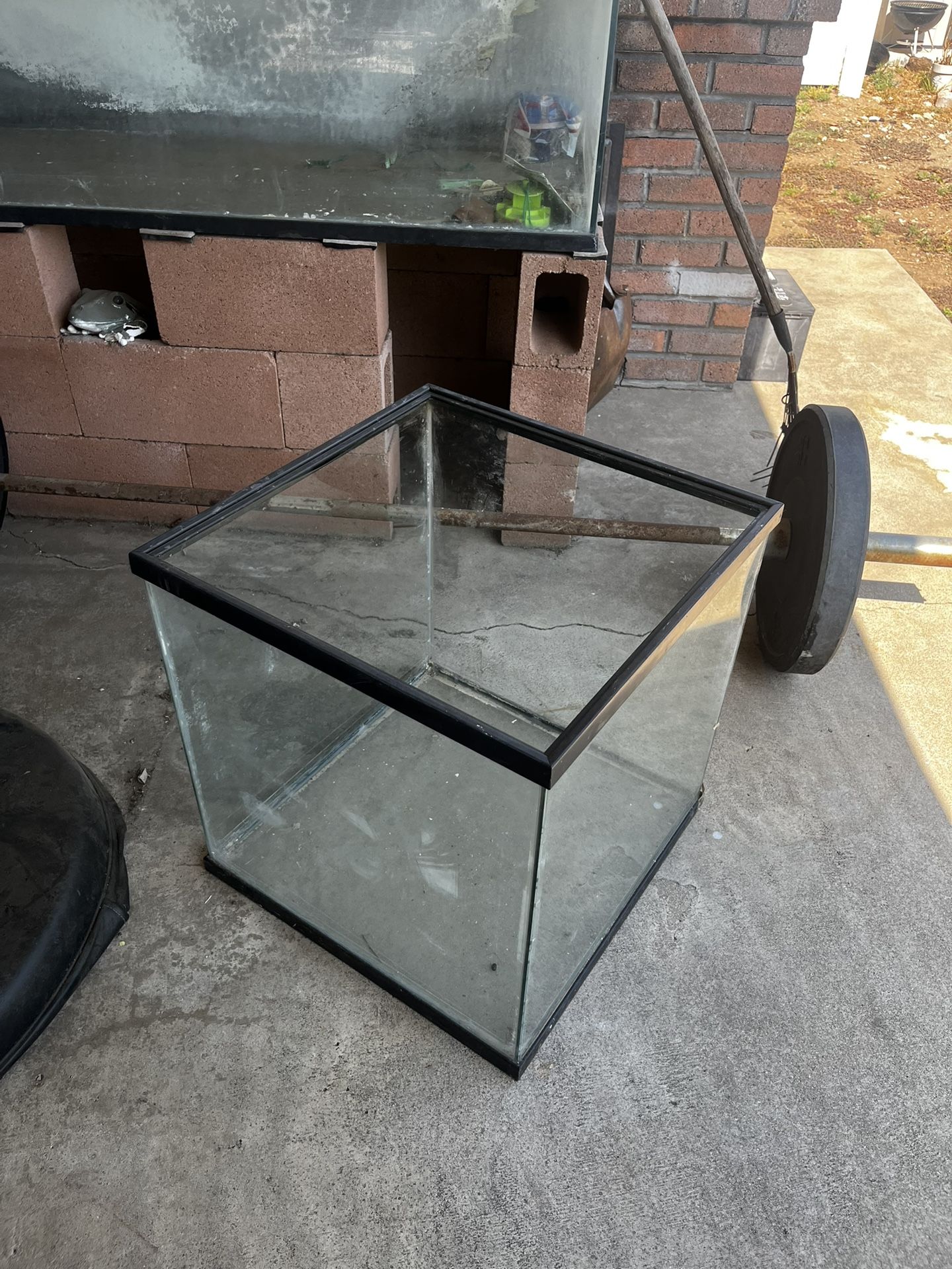 Fish Tanks