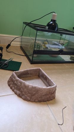 Pet water bowl