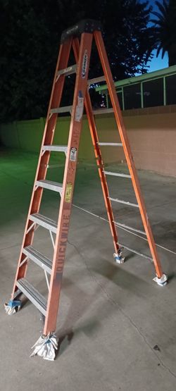 12 ft ladder - used $50