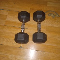 20lbs Dumbbells