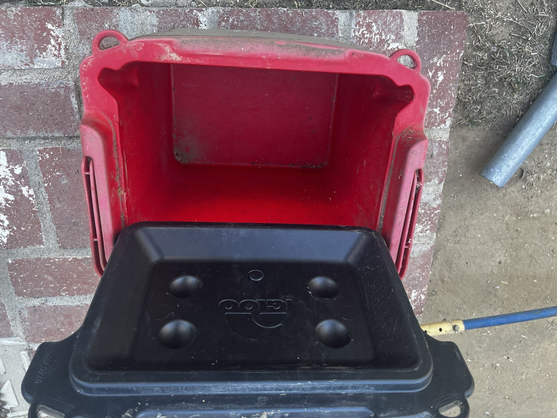 Igloo Lunch Cooler