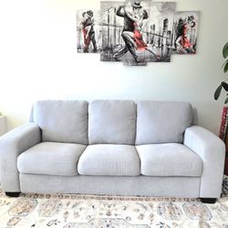 Gray Couch / Sofabed