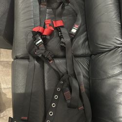 3m Full Body Harness 