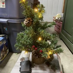 Mini Lighted Christmas Trees 