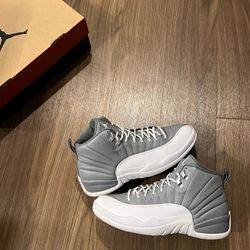 Jordan 12: Stealth | 11.5M