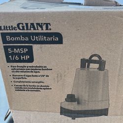 Little giant pool pump 1/6 hp