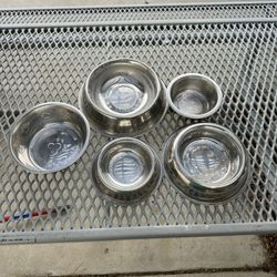 Dog Bowls 