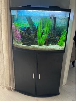 36 Gal fish tank and stand