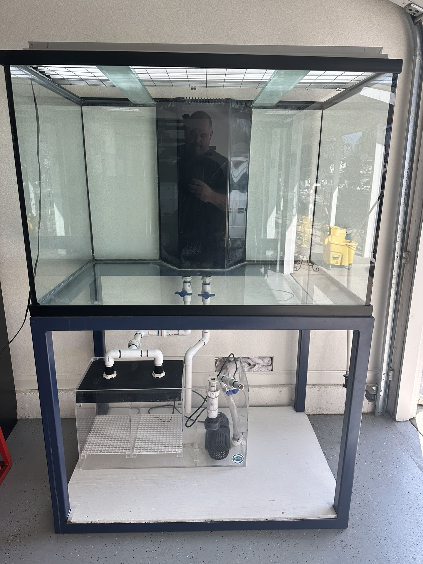 Fish Aquarium