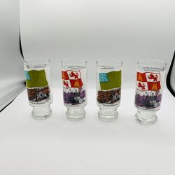 1973 Vintage Glasses “Flags For Freedom “ Tumblers Set Of 4