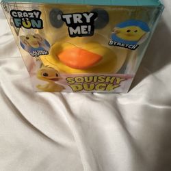 Squishy DUCK