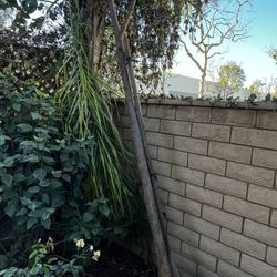 Free Wood