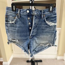 AGOLDE Parker Vintage Cut Off Short