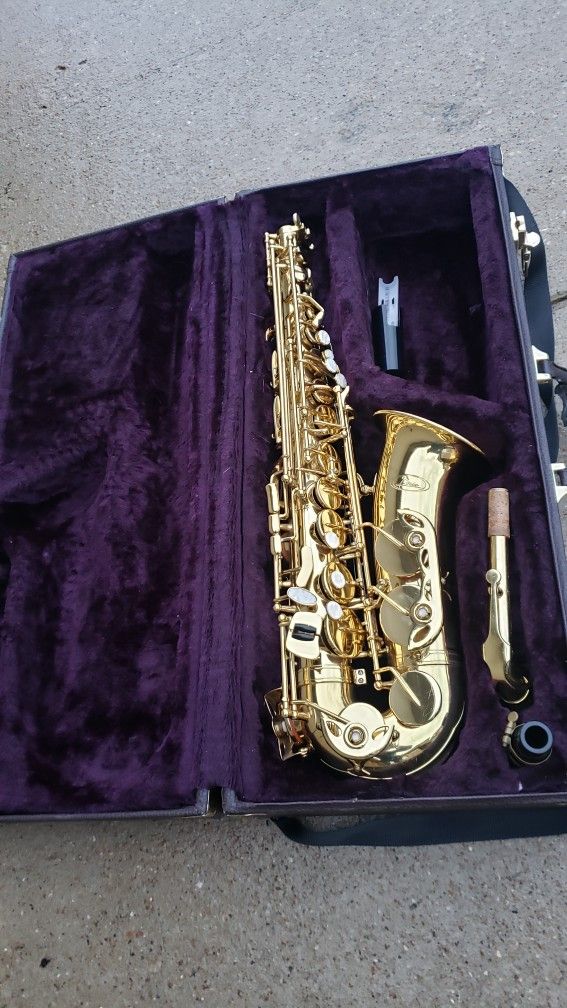 Alto  Saxophone  Palm