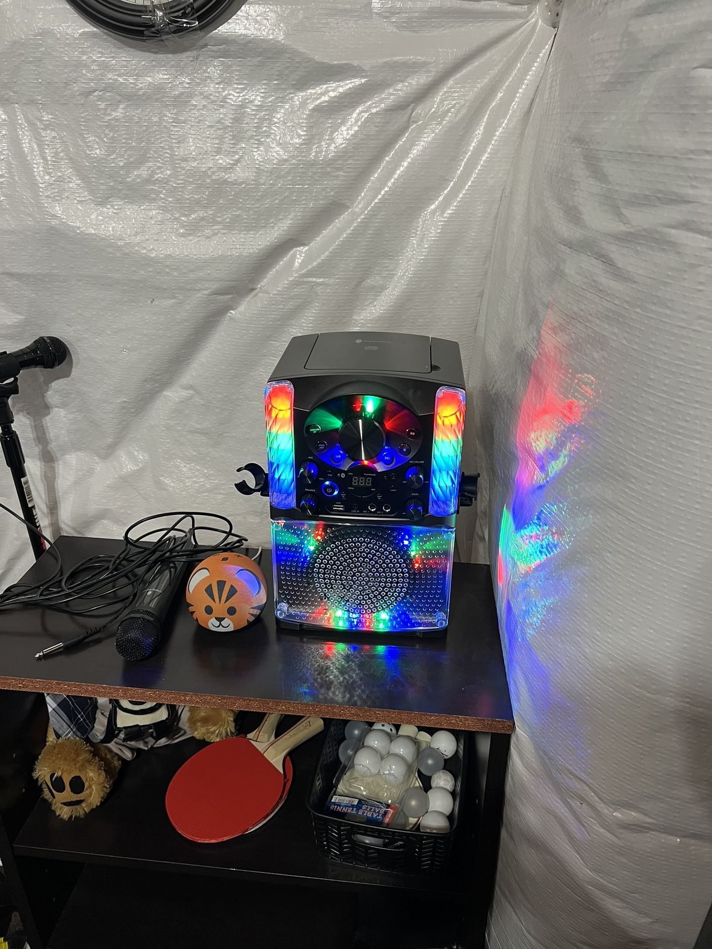 Karaoke Machine & Microphones!