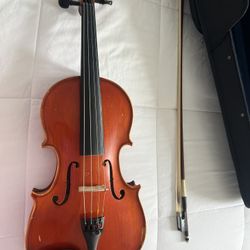 Viola 
