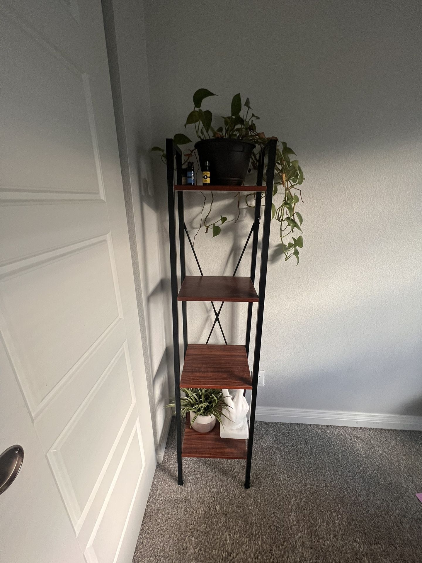 Tiered Ladder Shelf 