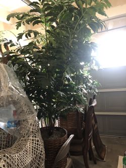 Artificial Plant with Basket