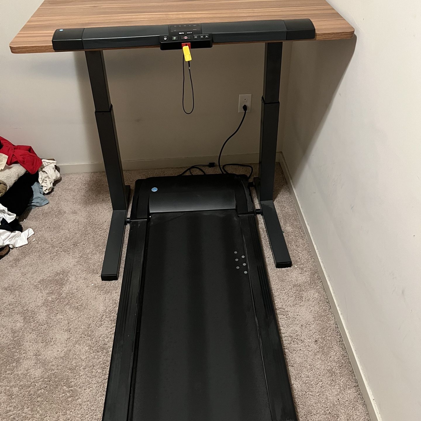 LifeSpan Fitness Treadmill Standing Desk(USED)