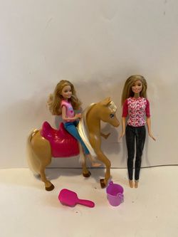 Barbie Pinktastic Sisters Riding Lessons with Stacie doll and Tawny horse