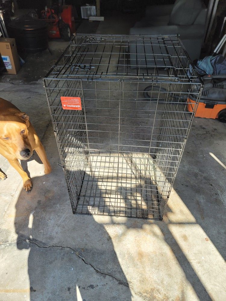 Dog Cage 