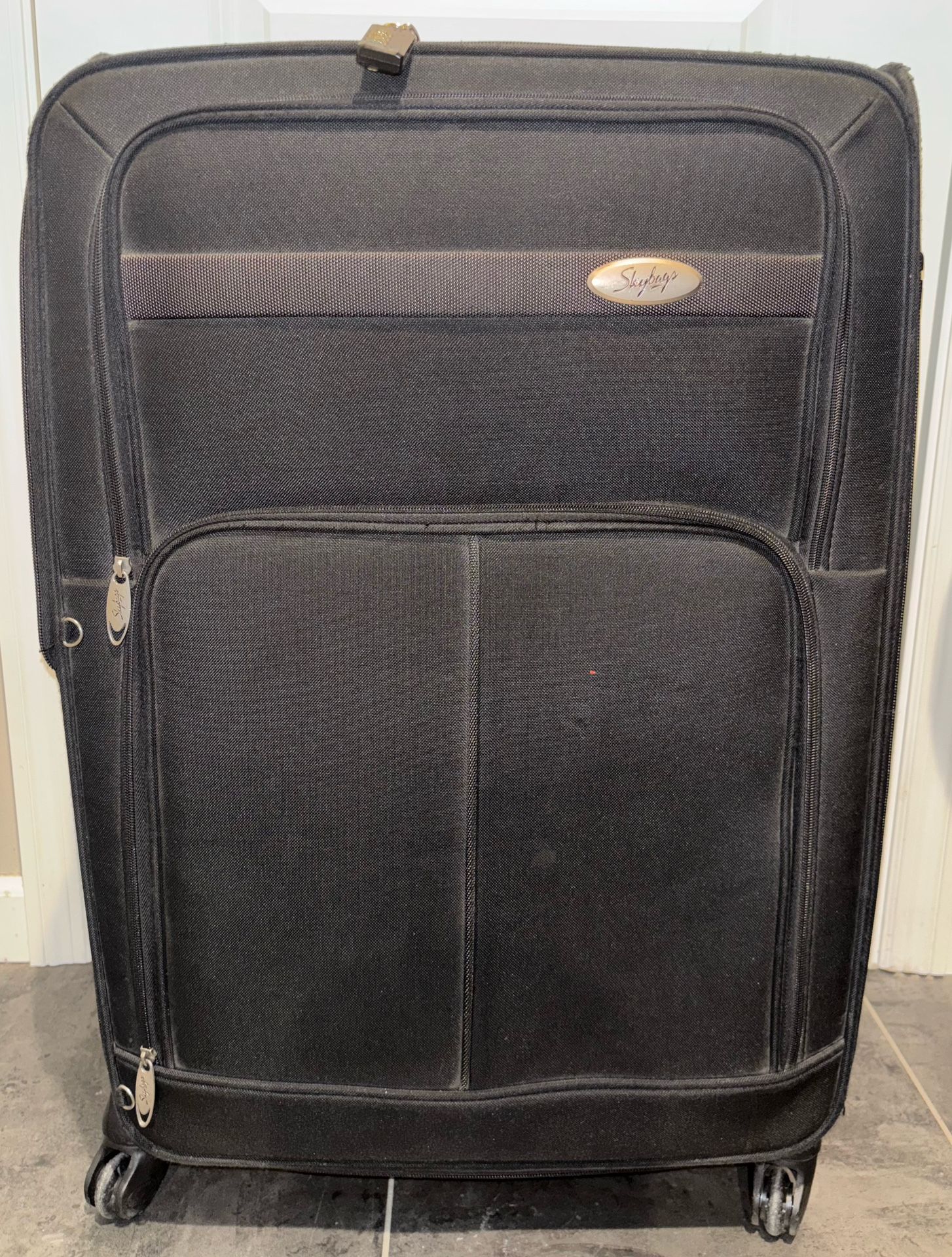 Skybags Suitcase