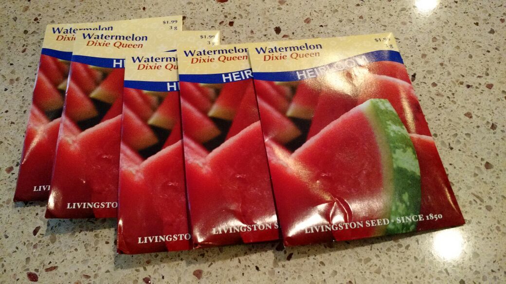 Livingston HEIRLOOM DIXIE QUEEN WATERMELON seeds