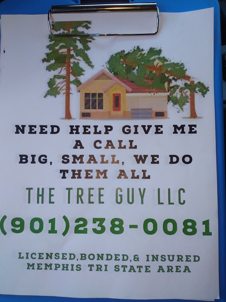 The Tree Guy LLC