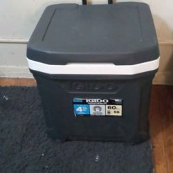 Igloo Cooler 