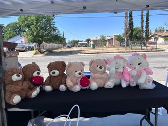 Osos de peluche