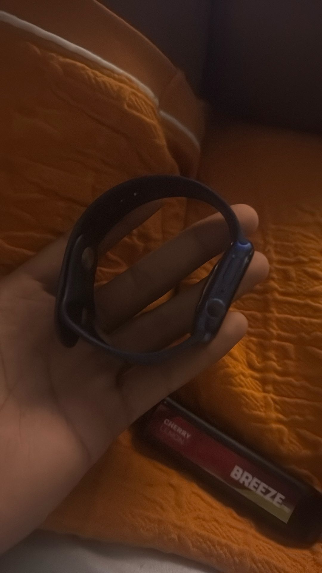 apple watch