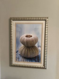 Wall Picture Cacti