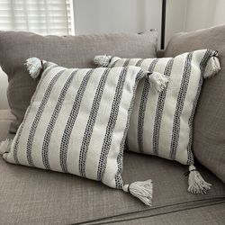Pair of Decorative Pillows 