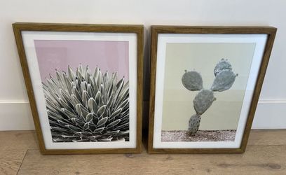 Framed Prints