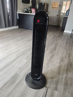 Fan $10