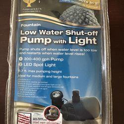 Fountain Pump with Light