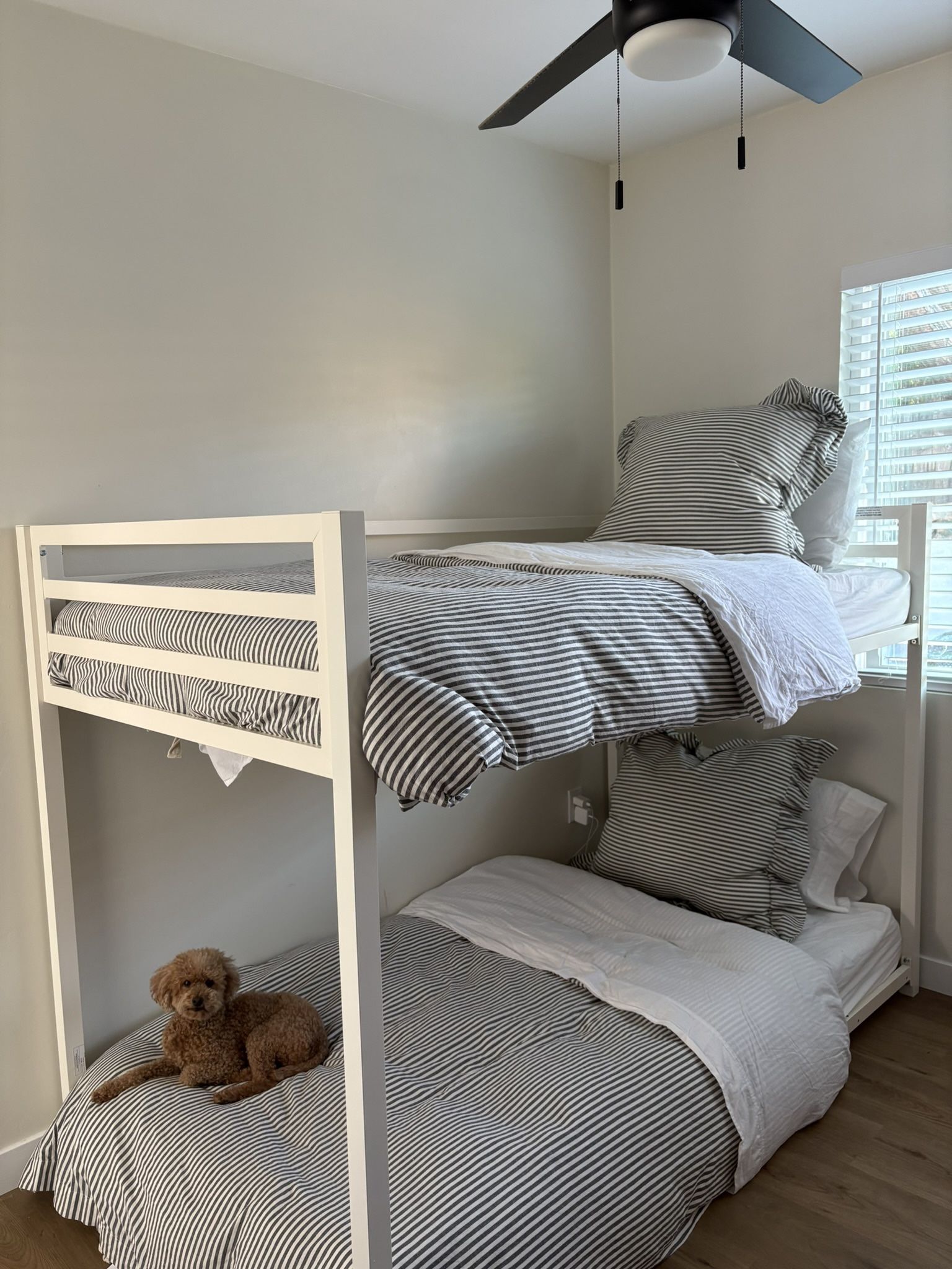 White Metal Twin/Twin Bunk Beds