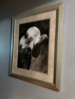 Beautiful set of 2 Sondra Wampler black art framed prints