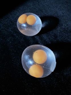 Egg with Yolk Squishy