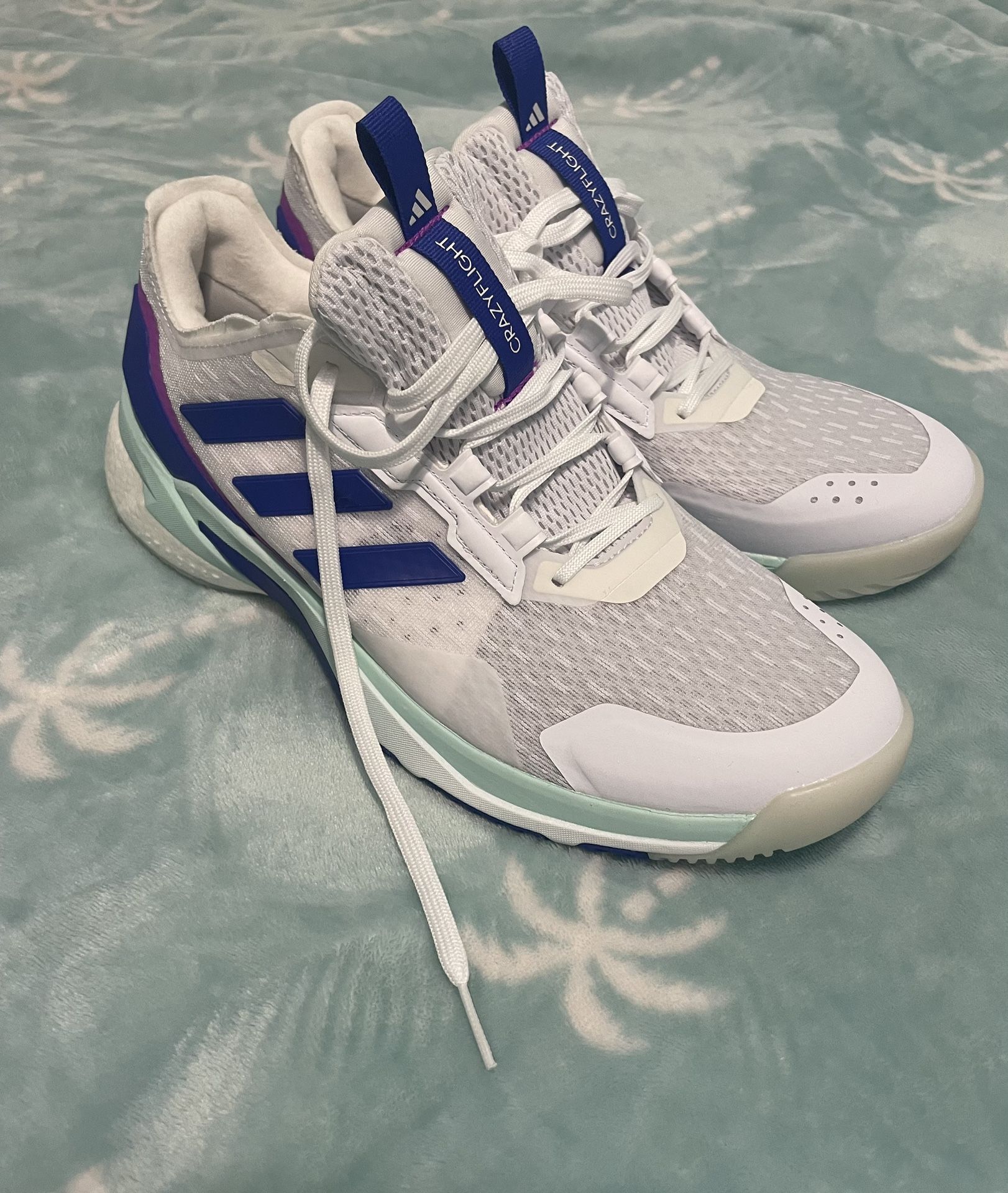 Volleyball Shoes - Adidas Crazyflight 6 Low - Limited Edition